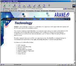 Araneo, Israel Web design