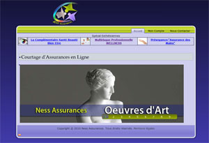 Ness Assurances